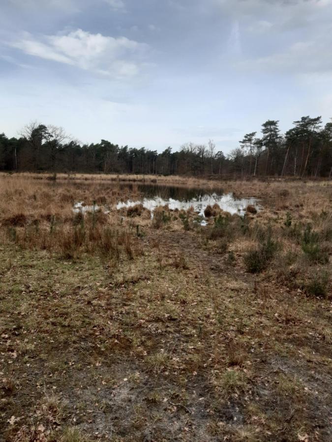 B&B Bourgondisch Lomm Eksteriør billede