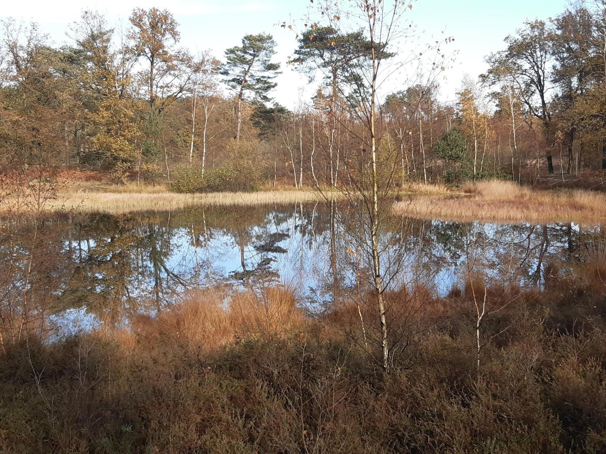 B&B Bourgondisch Lomm Eksteriør billede